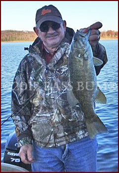 Smallmouth Bass, 20 inches