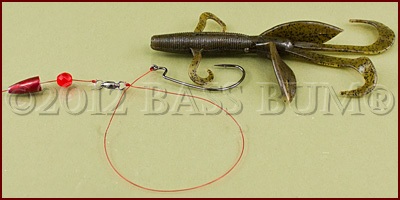 Bank Fishing with Plastic Worms, How To