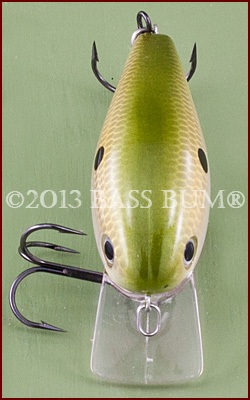 Crankbait, Wood or Plastic Fishing Lures Your Grandaddy Called Fishing Plugs