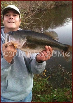 Bookend Largemouth Bass #2