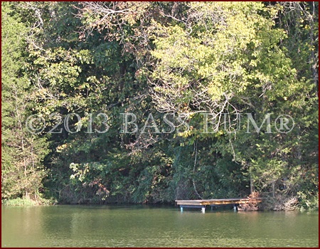 Farm Pond Dock - 2.5 Acre Pond