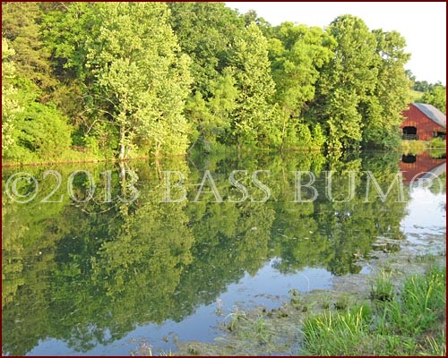 Pond Fishing and Big Largemouth Bass Go Together Like Green Beans