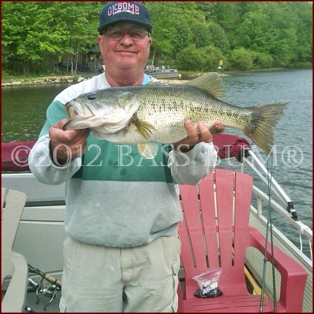 6-Pound Largemouth Bass Fish Mount