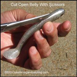 Step 1 Cut Open Belly With Scissors 