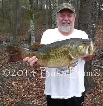 Alabama 11lb Largemouth Bass