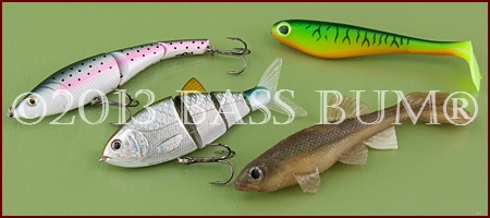 Fishing Swimbaits, Using A Swimbait Rod For Bass Swimbaits