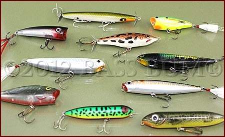 Best Hooks For Bass Fishing: Senko, Worms, Crankbaits, Topwater