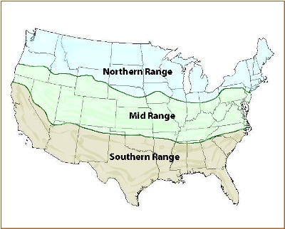 Largemouth Pattern Map