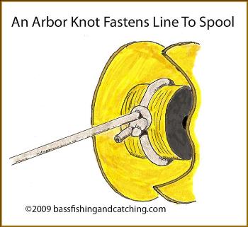 Arbor Knot - How to tie an Arbor Knot