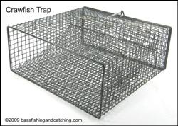 Crawfish Trap 