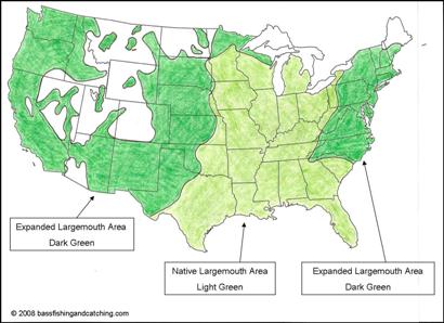 Largemouth Bass, Fishing Facts, Bass Habitat, Bass Spawn