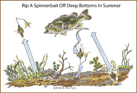 Different Spinnerbait Techniques and Presentations