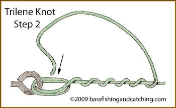 Tying a Trilene Knot - Step Two