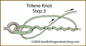 Tying a Trilene Knot - Step Three