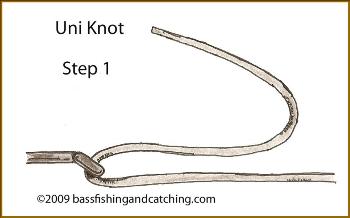 Tying a Uni Knot Step 1