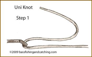 Tying a Uni Knot Step 1