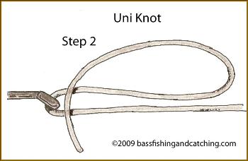 Tying a Uni Knot Step 2