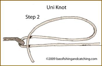 The Uni-Knot Is One Of The Most Reliable Bass Fishing Knots