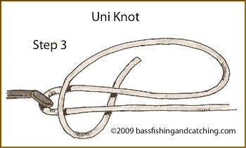 Tying a Uni Knot Step 3