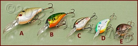 Crankbait Bills - Assorted Lengths/Styles 