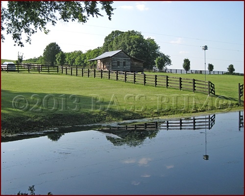 Farm Pond Paradise