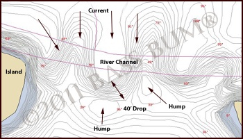 Lake Map - First Island Hump - Dale Hollow Lake