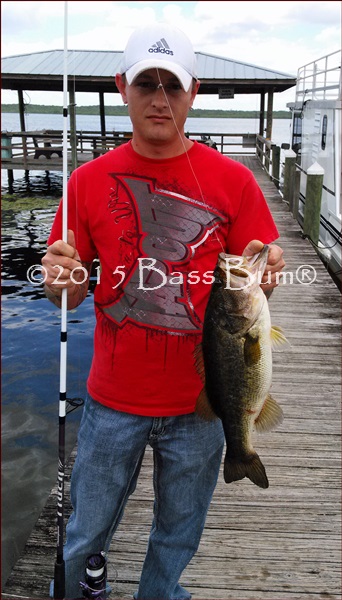 Florida Strain Bass. Wish We had Them in Tennessee