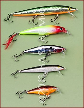Minnow Lure Assorted Sizes