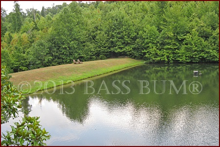 Typical Small Bass Lake Dam