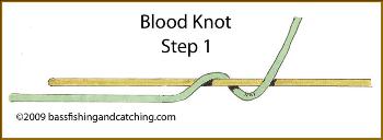 How to Tie a Blood Knot Tying? Tips & Step-By-Step Instructions