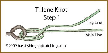 Tying a Trilene Knot -Step One