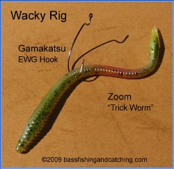Nose hooked weightless trick worm - Fishing Tackle - Bass Fishing Forums