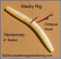 The Wacky Rig Is The Height Of Simplicity And Effectiveness.